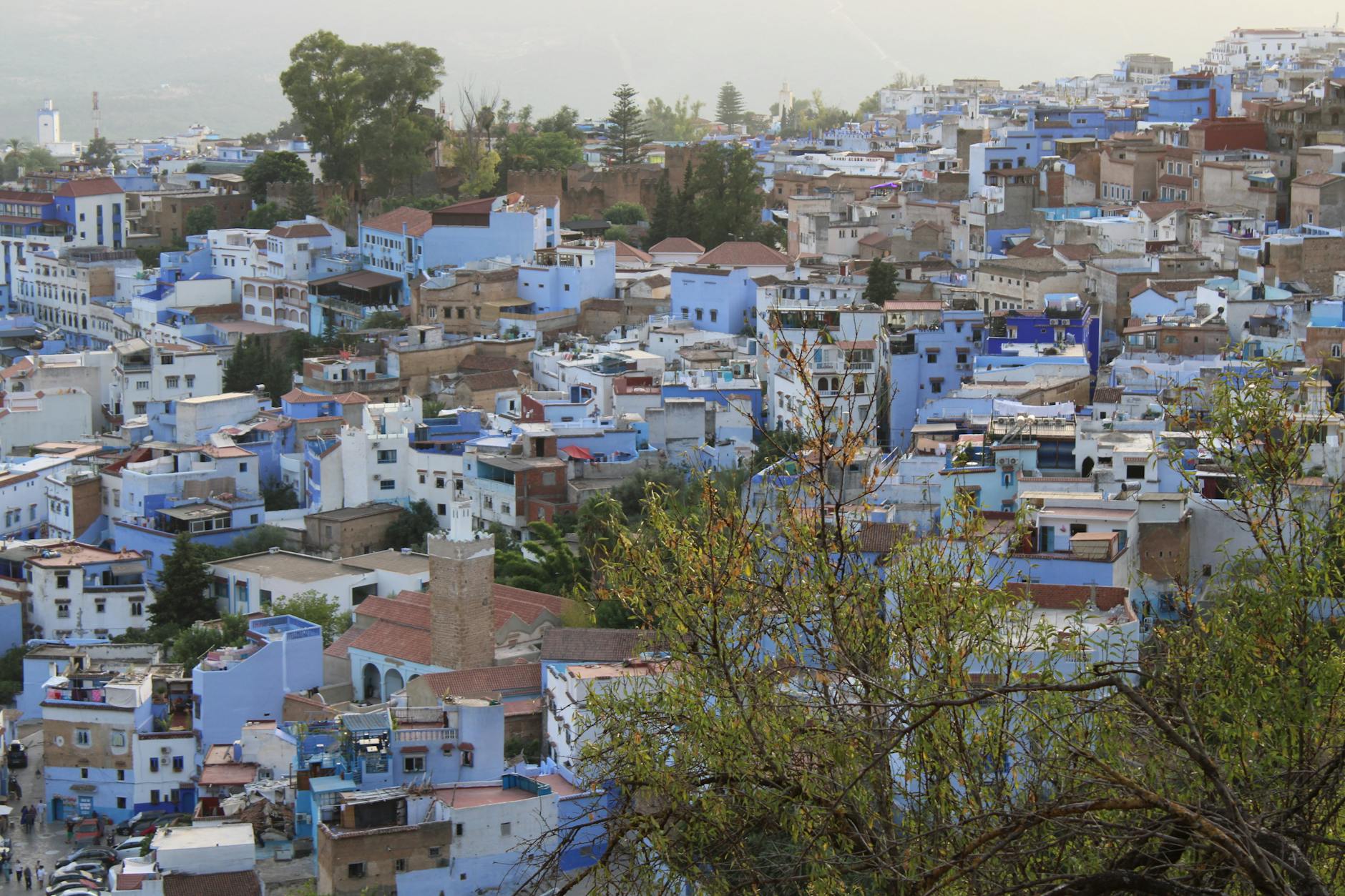 Chefchaouen rooftops at dawn