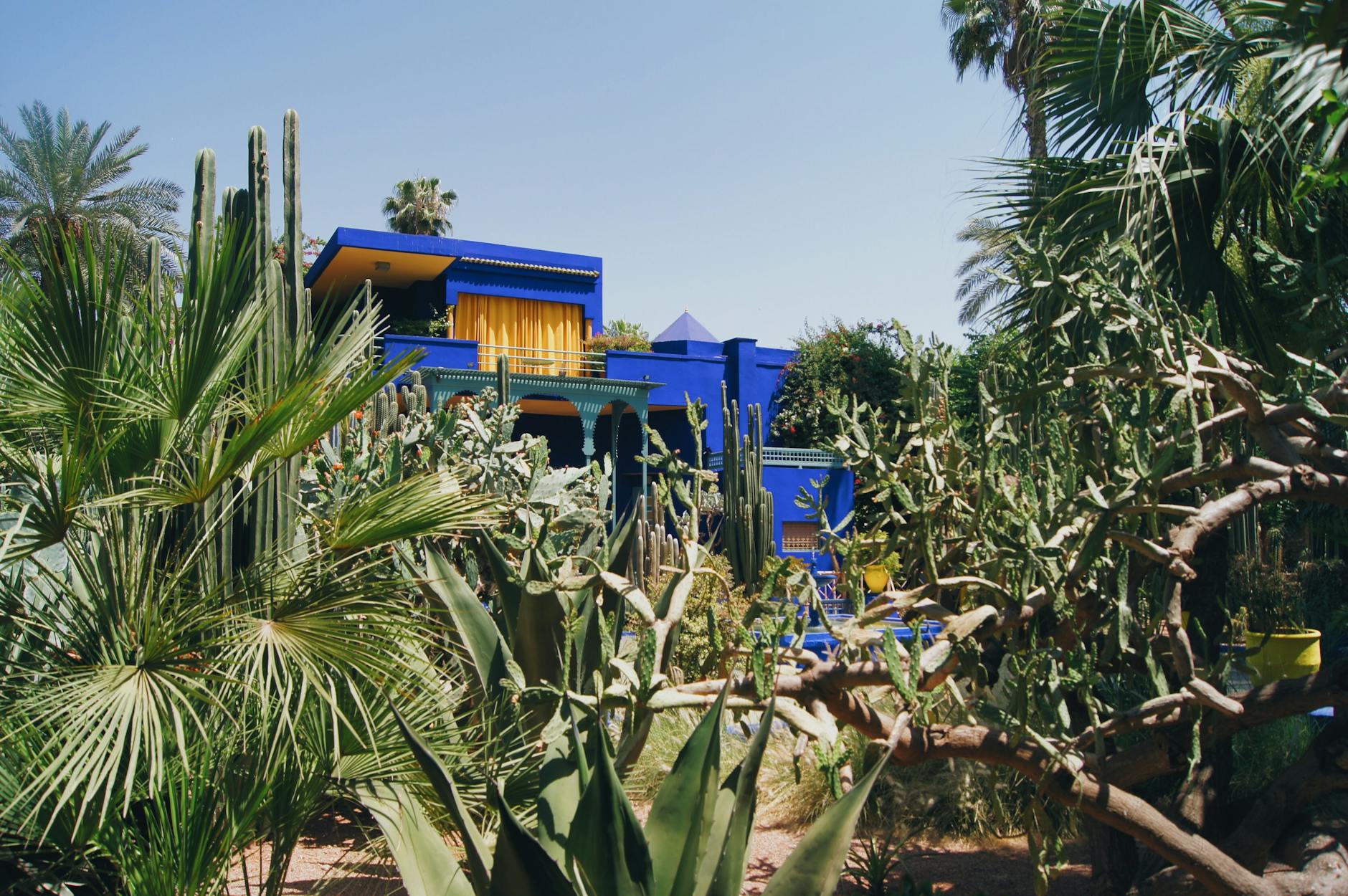 Majorelle Garden blue walls