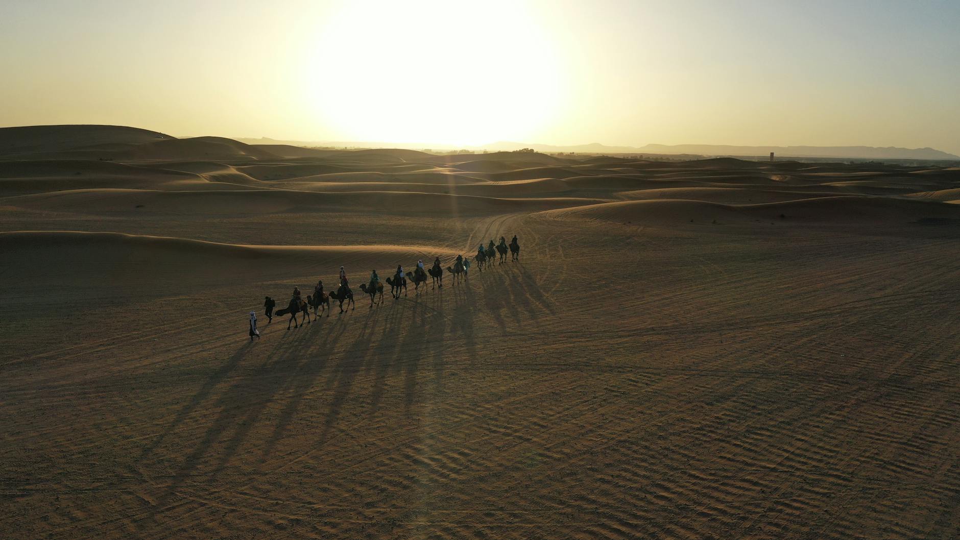 Camel caravan crossing Erg Chebbi dunes