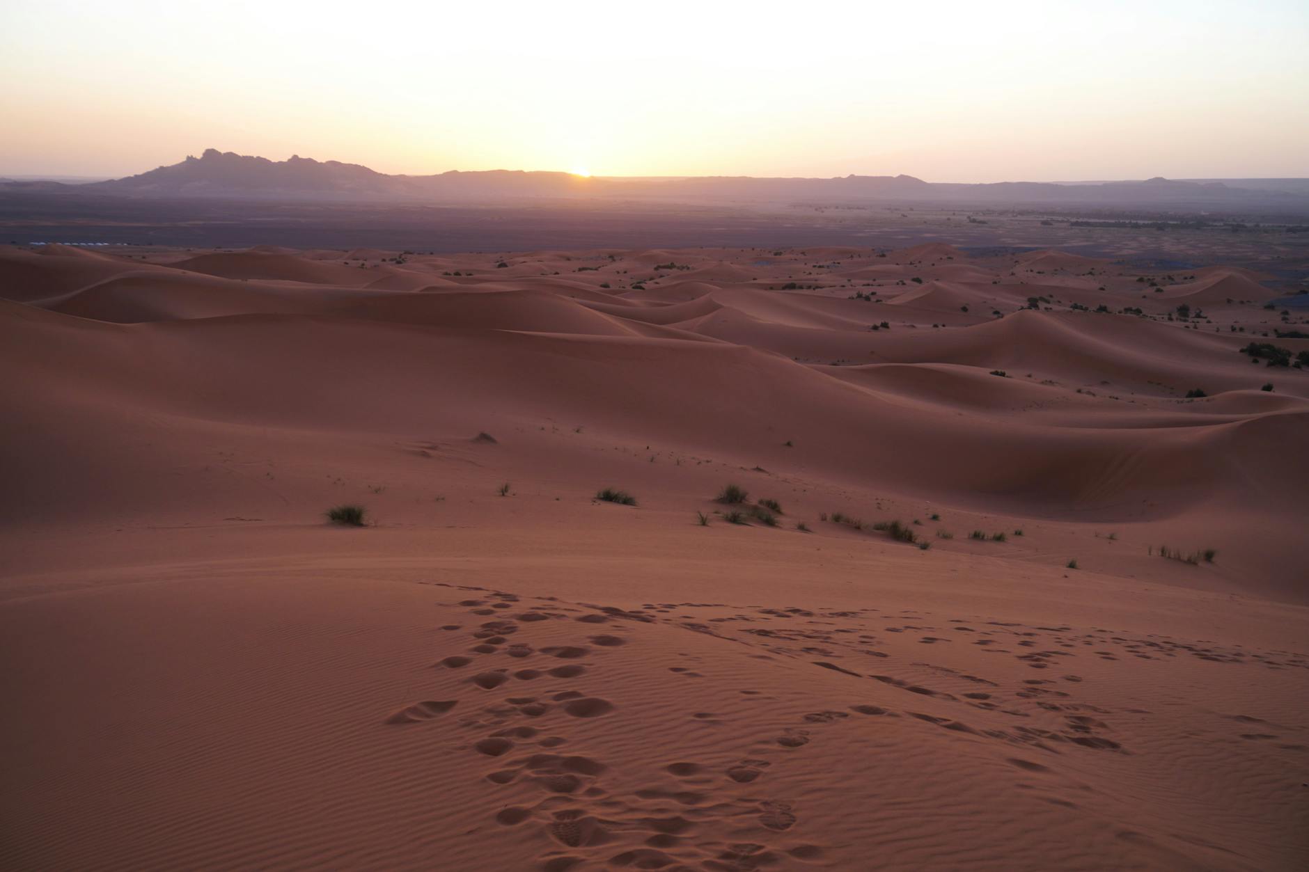 Sunrise over the Sahara dunes